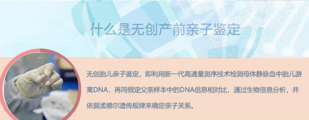 南昌孕期亲子鉴定基本流程,南昌产前亲子鉴定收费标准 南昌孕期亲子鉴定基本流程,南昌产前亲子鉴定收费标准