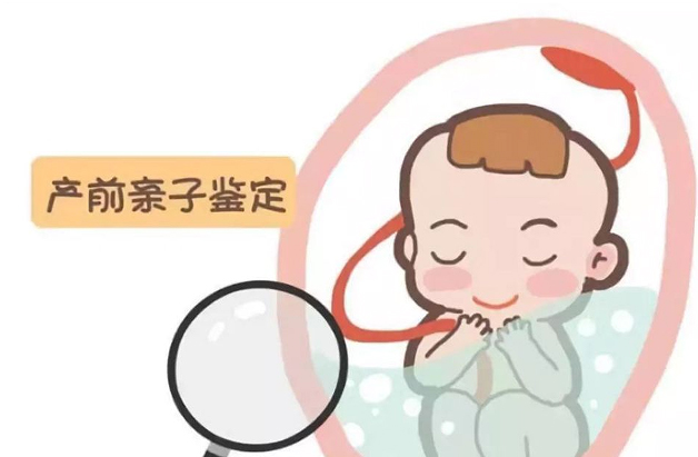 南昌胎儿亲子鉴定资料和流程,
